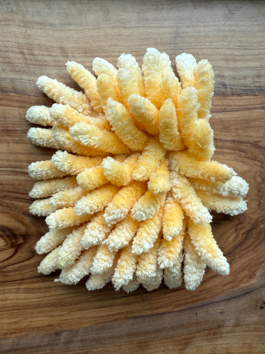 Trout Roe