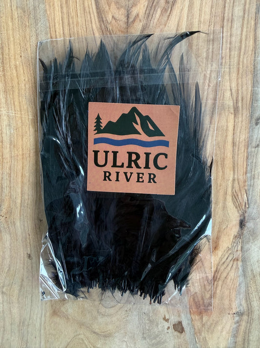 Nightwing